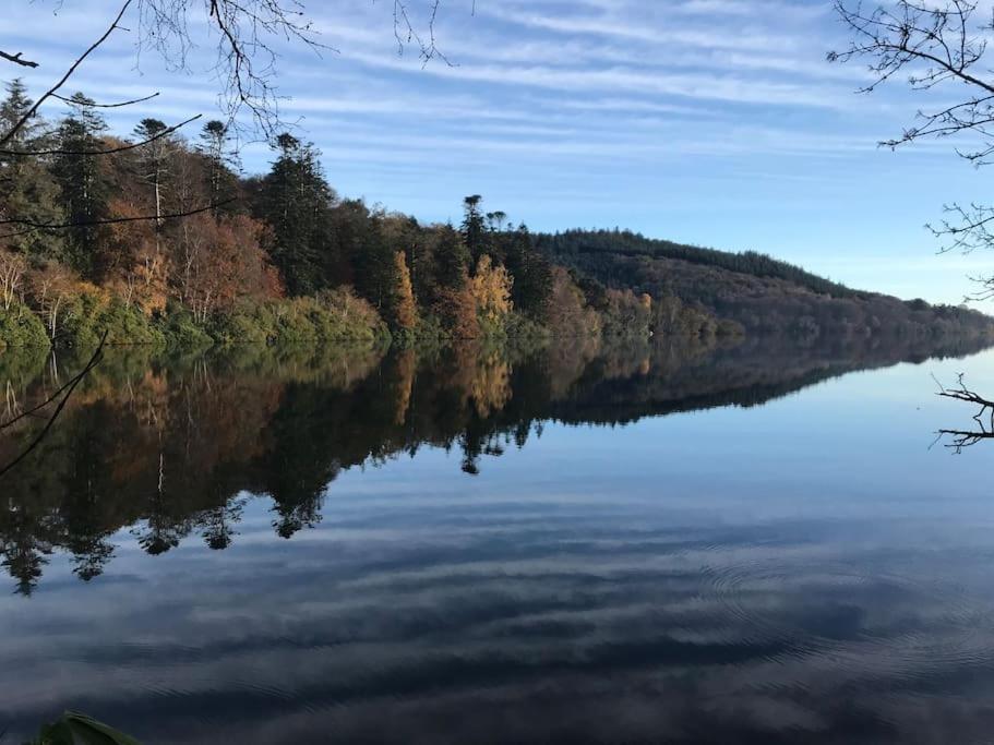 Forest View - Castlewellan, County Down Белфаст Экстерьер фото